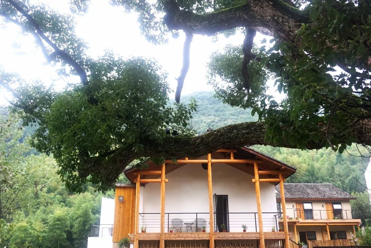 杭州·天方夜潭，給你一個「山脊之巔」的舞臺