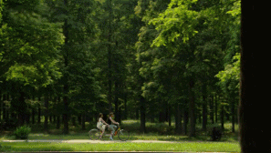 十二行宮·白羊宮，盡享環(huán)島騎車之行