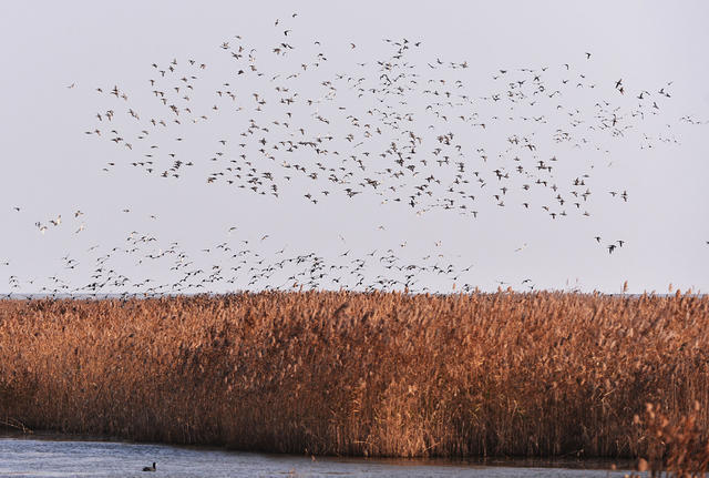 十二行宮·白羊宮，盡享環(huán)島騎車之行