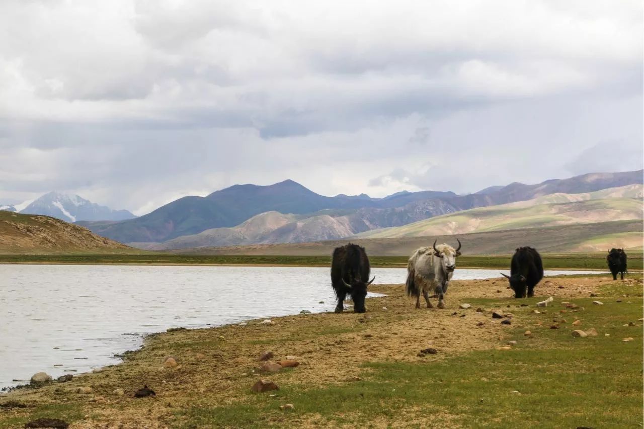 十二行宮·白羊?qū)m，盡享環(huán)島騎車(chē)之行