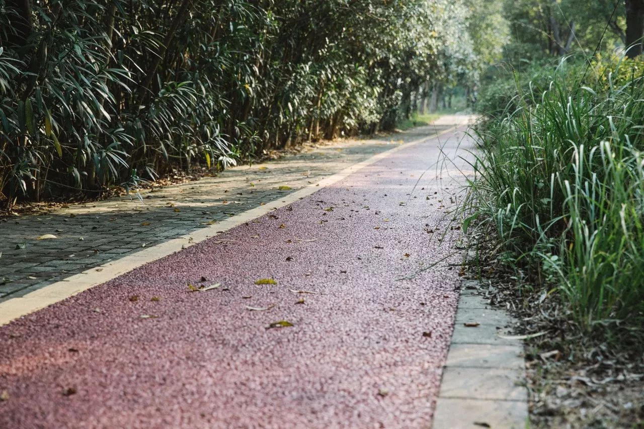 十二行宮·白羊?qū)m，盡享環(huán)島騎車(chē)之行