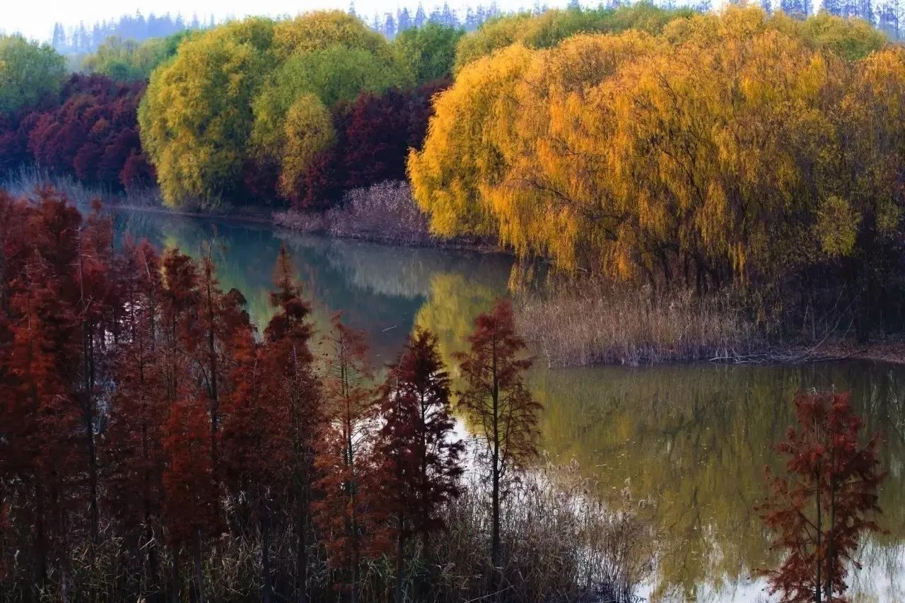 十二行宮·白羊?qū)m，盡享環(huán)島騎車之行