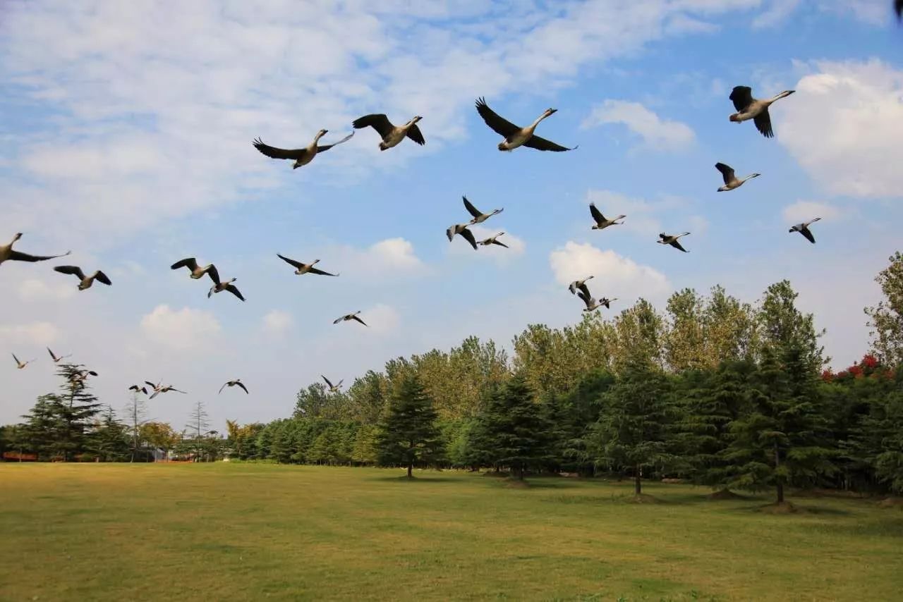 十二行宮·白羊?qū)m，盡享環(huán)島騎車之行