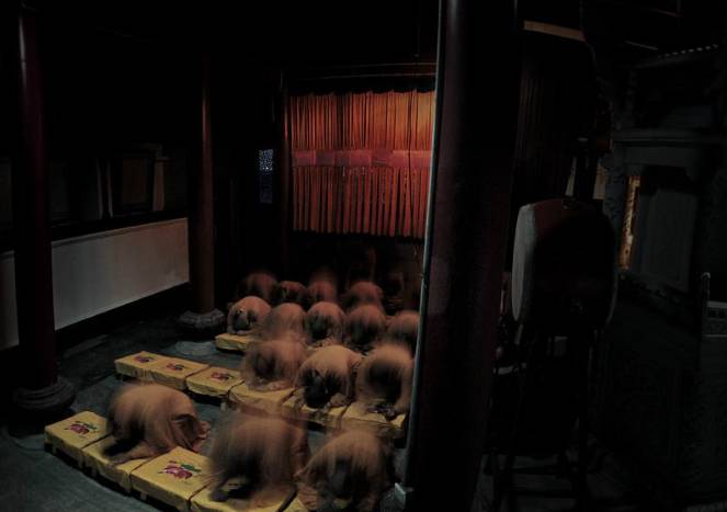 寺廟佛教文化，蕓蕓眾生便是修行