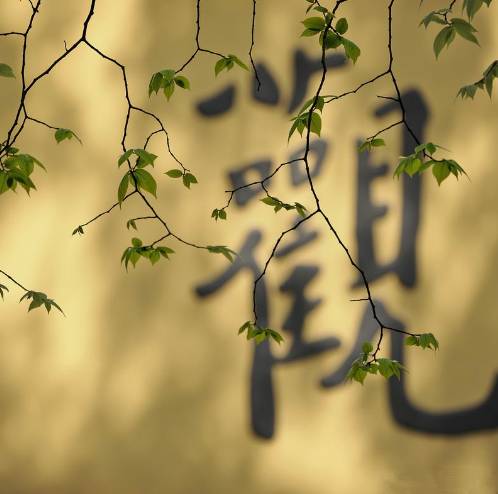 寺廟佛教文化，蕓蕓眾生便是修行