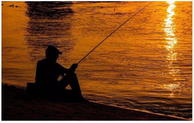 松陽(yáng)·陌領(lǐng)浮光民宿，浮光指路茶香入夢(mèng)