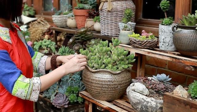 麗江束河無爾，在這里帶著夢想開花棲居