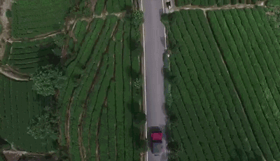 麗水·浮光，浮光指路茶香入夢(mèng)蓋一間湖畔大學(xué)