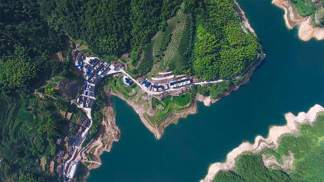 麗水·浮光，浮光指路茶香入夢(mèng)蓋一間湖畔大學(xué)