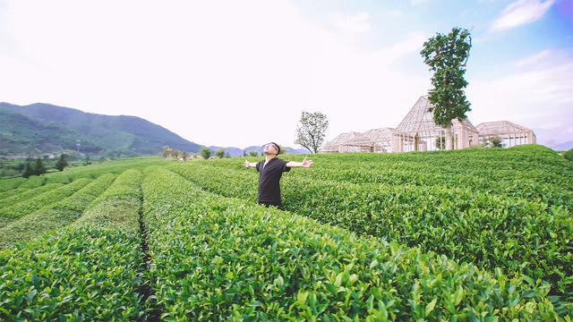 麗水·浮光，浮光指路茶香入夢蓋一間湖畔大學(xué)