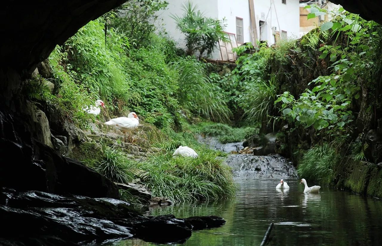 村上酒舍，體驗古村生活一起慢慢變老