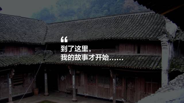 寧波·花雨醉，品花間一壺酒聽雨后醉朦朧