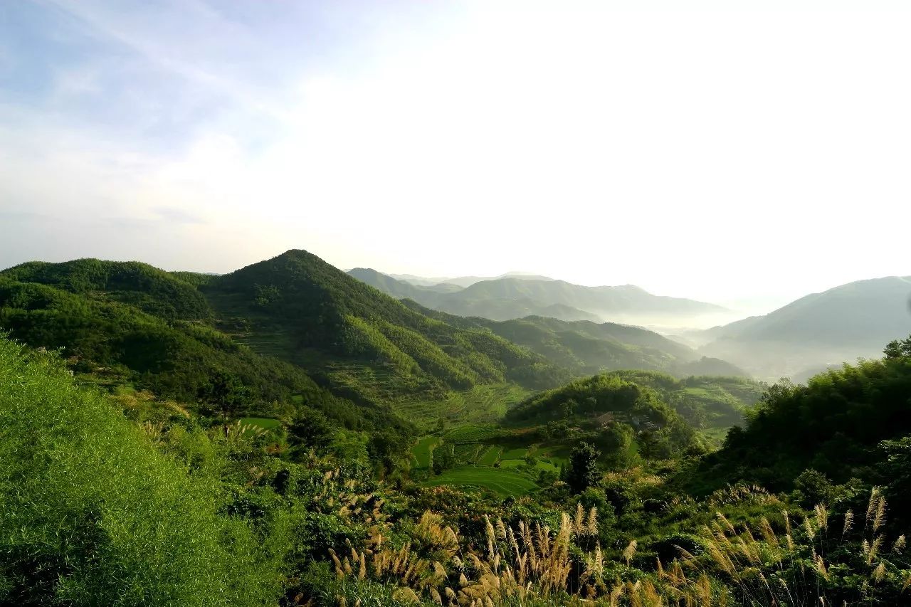 寧波·花雨醉，品花間一壺酒聽雨后醉朦朧