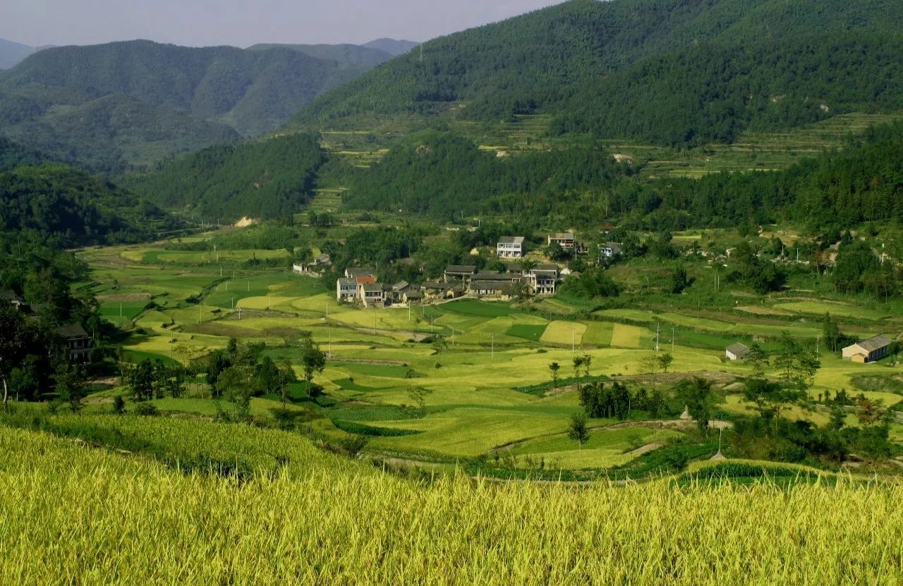 寧波·花雨醉，品花間一壺酒聽雨后醉朦朧