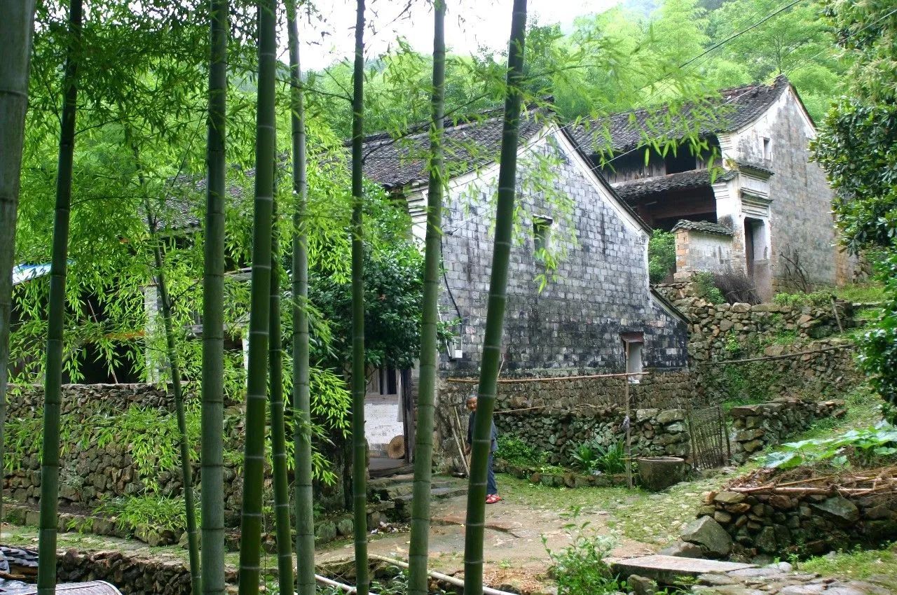 寧波·花雨醉，品花間一壺酒聽雨后醉朦朧
