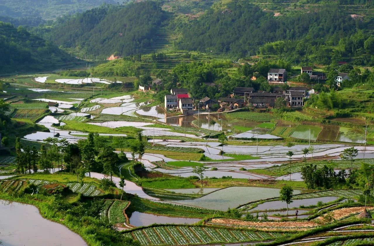 寧波·花雨醉，品花間一壺酒聽雨后醉朦朧
