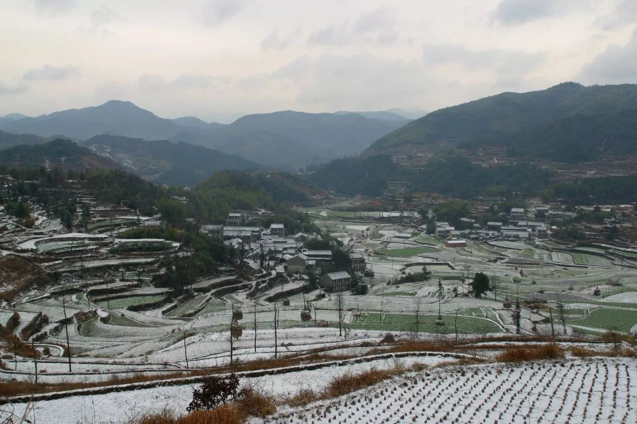 寧波·花雨醉，品花間一壺酒聽雨后醉朦朧