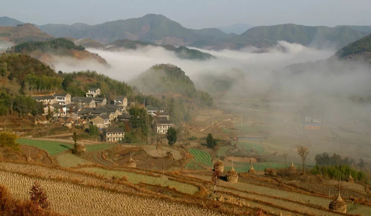 寧波·花雨醉，品花間一壺酒聽(tīng)雨后醉朦朧