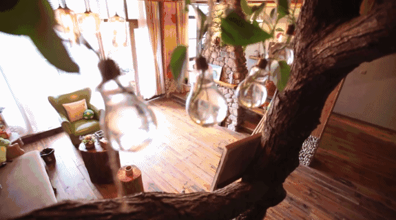 寧波·花雨醉，品花間一壺酒聽雨后醉朦朧