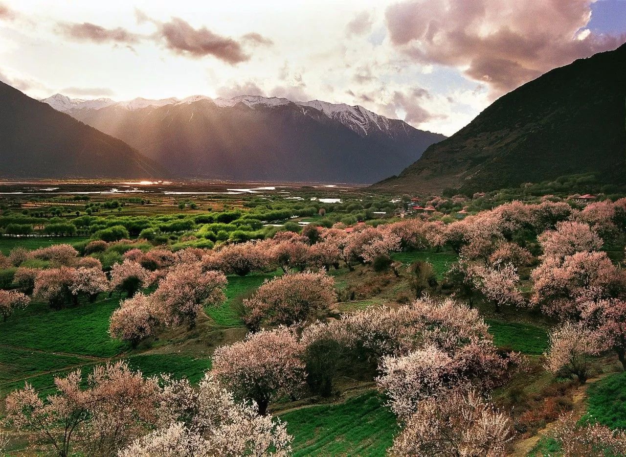 林芝·找個(gè)地兒待著，這個(gè)星球上最特別的故鄉(xiāng)