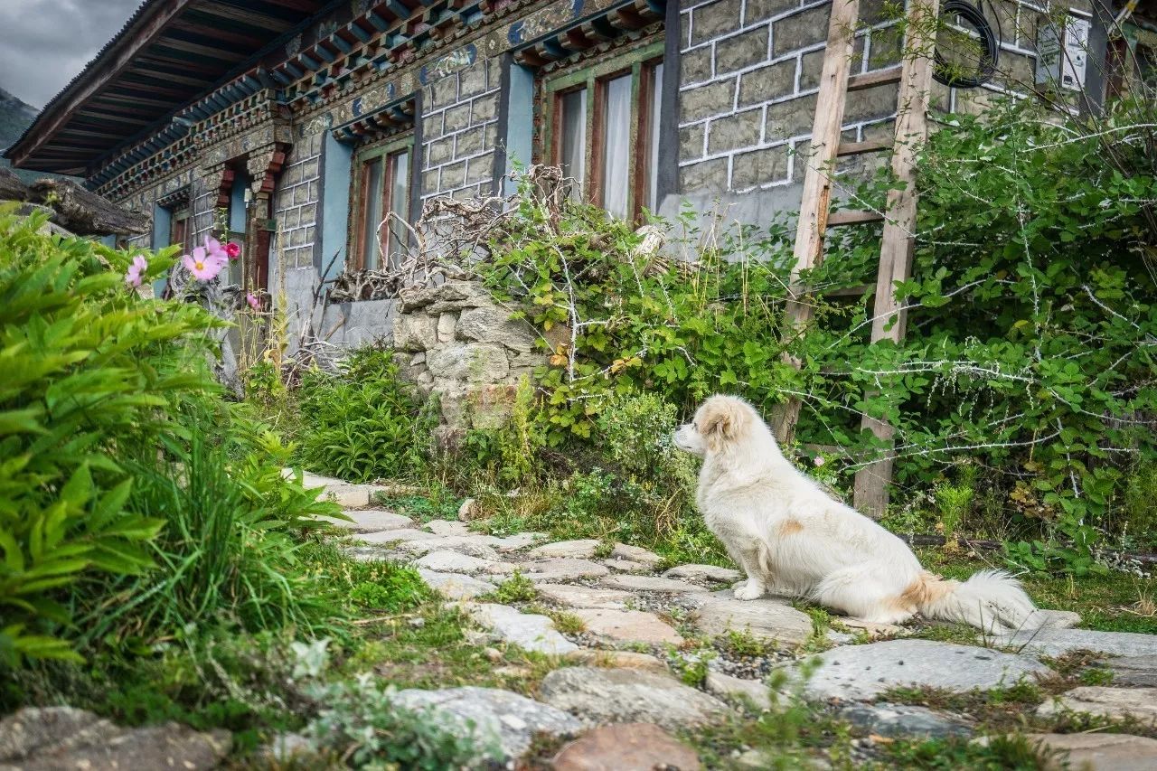 林芝·找個(gè)地兒待著，這個(gè)星球上最特別的故鄉(xiāng)