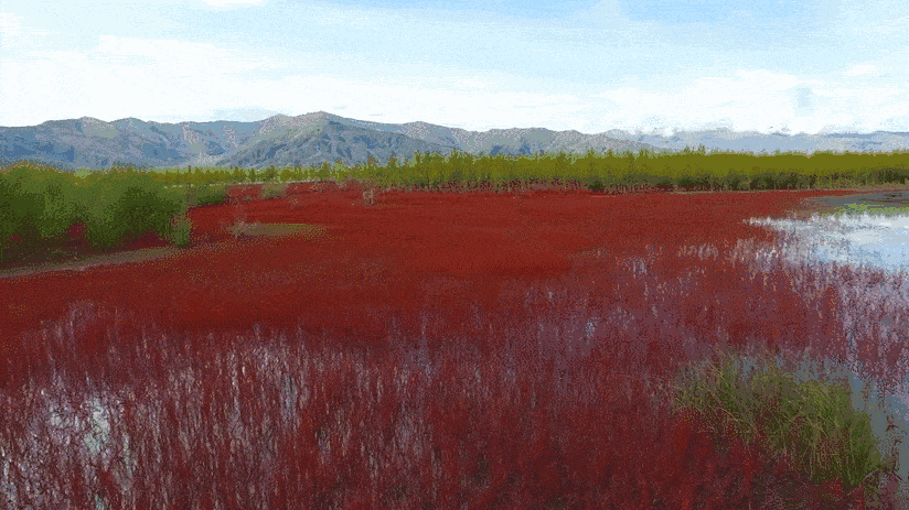 林芝·找個(gè)地兒待著，這個(gè)星球上最特別的故鄉(xiāng)