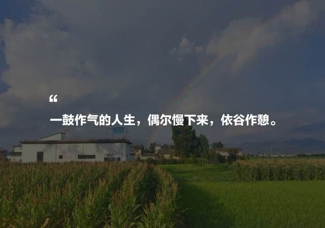 大理·依谷坐憩，在稻田里種間甜品店靜待光陰