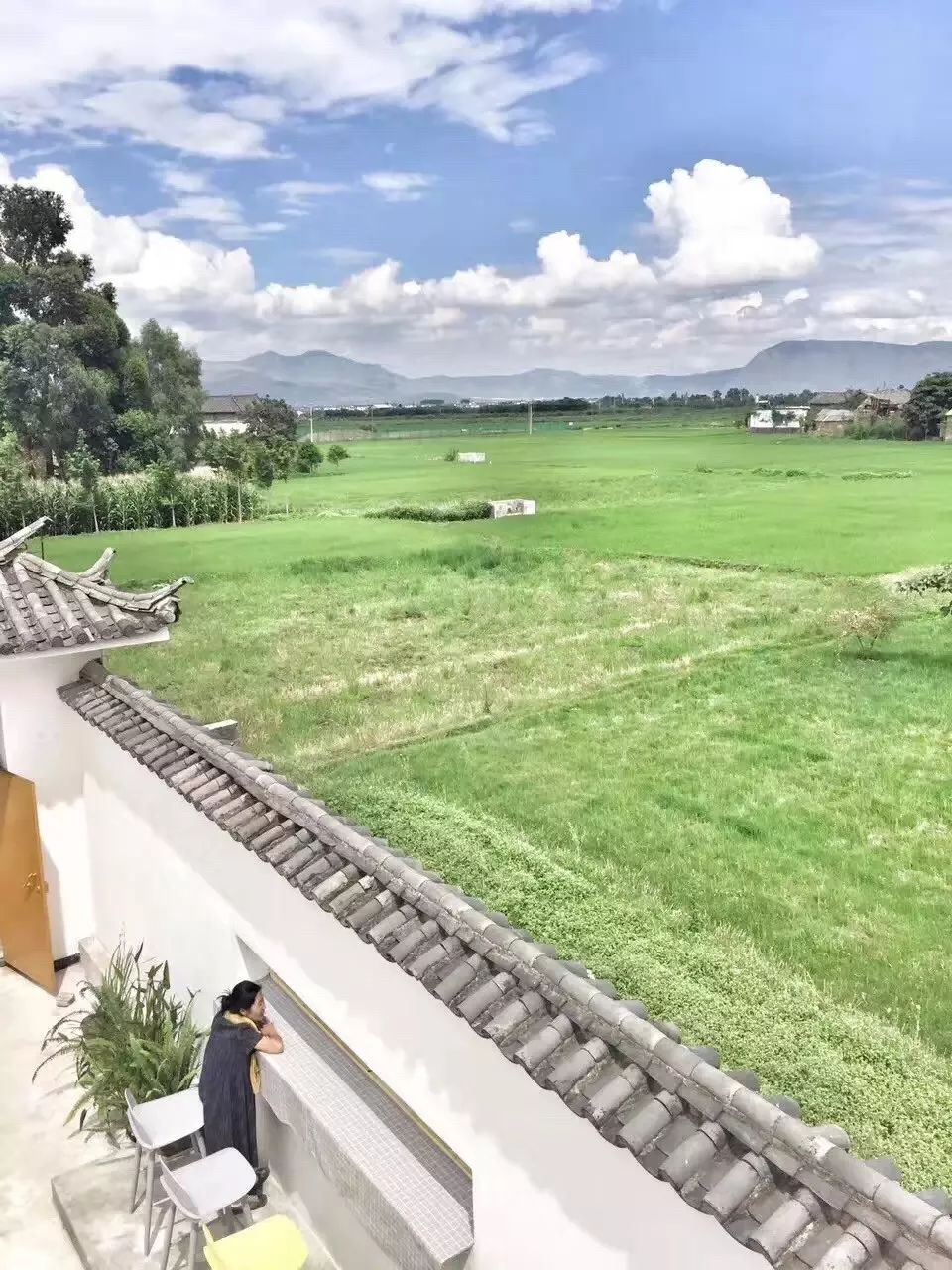 大理·依谷坐憩，在稻田里種間甜品店靜待光陰