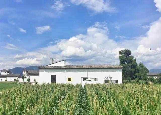 大理·依谷坐憩，在稻田里種間甜品店靜待光陰