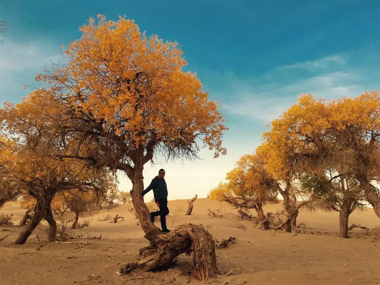 武夷山·舊街山宿，理想生活就是慢下來(lái)