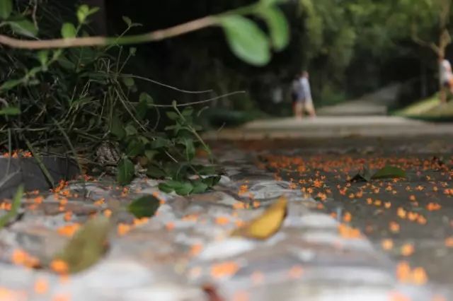 秋意正濃，與8家最美民宿一起相約杭州