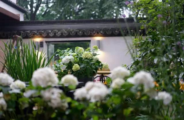 秋意正濃，與8家最美民宿一起相約杭州