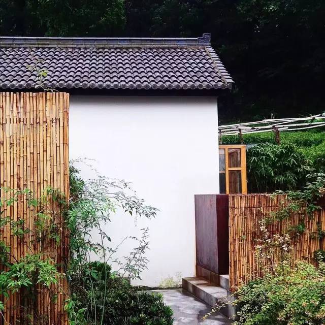 秋意正濃，與8家最美民宿一起相約杭州