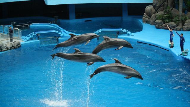 青島·Villaart維林藝墅，因為房子愛上一座城