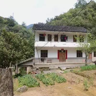 雪坑村·美客愛途，愛上美麗的客居地和旅途故事