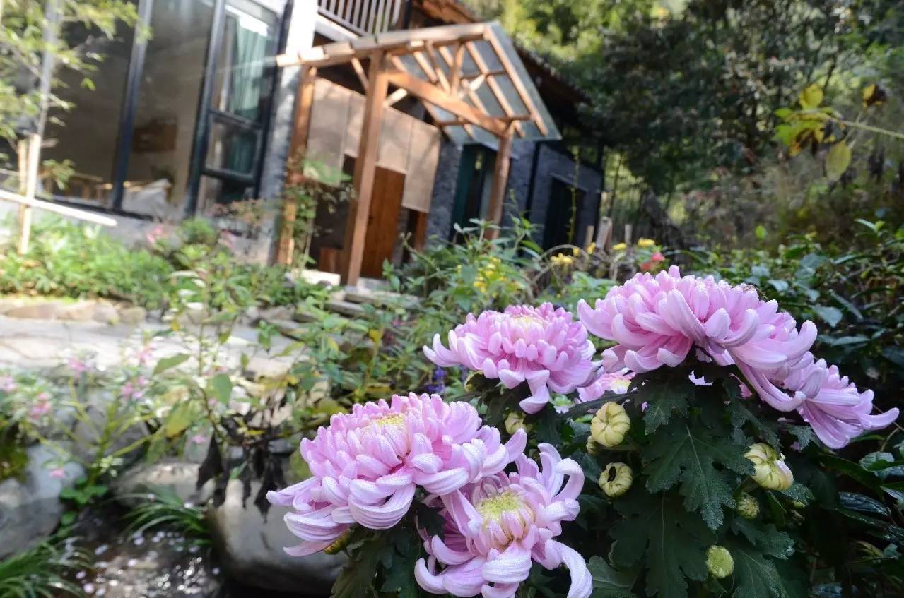 雪坑村·美客愛途，愛上美麗的客居地和旅途故事