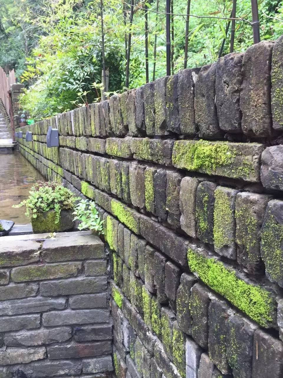 雪坑村·美客愛途，愛上美麗的客居地和旅途故事