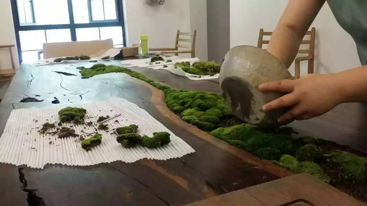 雪坑村·美客愛途，愛上美麗的客居地和旅途故事