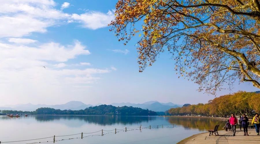 杭州·駐Hotel，在杭州最美季節(jié)體驗(yàn)藝術(shù)空間