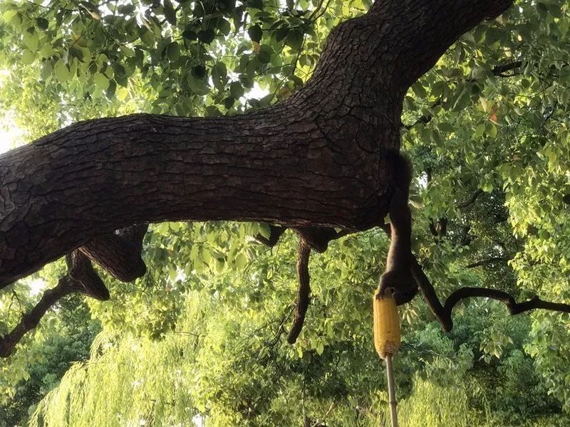 杭州·駐Hotel，在杭州最美季節(jié)體驗(yàn)藝術(shù)空間