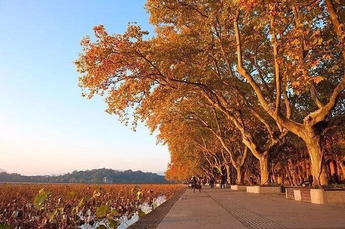 杭州·駐Hotel，在杭州最美季節(jié)體驗(yàn)藝術(shù)空間