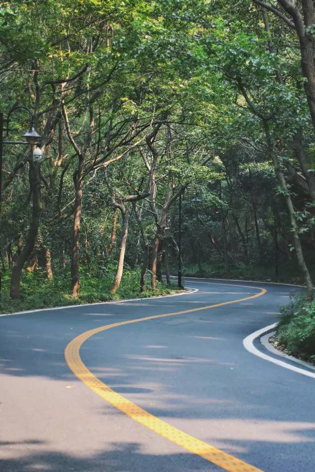 杭州·駐Hotel，在杭州最美季節(jié)體驗(yàn)藝術(shù)空間