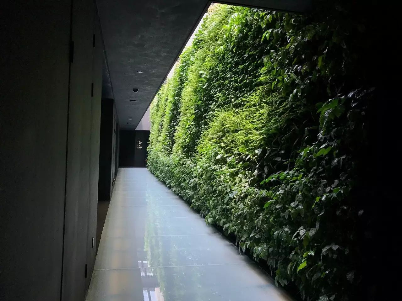 杭州·駐Hotel，在杭州最美季節(jié)體驗藝術(shù)空間