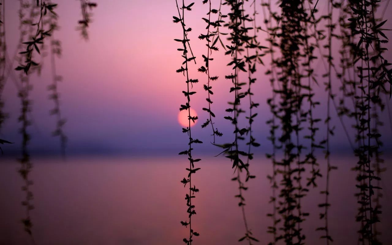 杭州·駐Hotel，在杭州最美季節(jié)體驗藝術(shù)空間