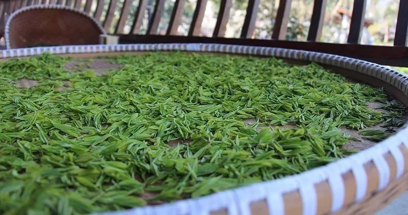 七椀居茶舍，喝西湖龍井茶感受西湖美秋季美