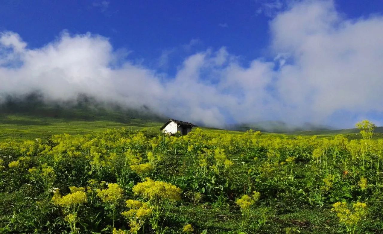 皇木鎮(zhèn)·壹間房，住進(jìn)云霧間愛(ài)上一座城