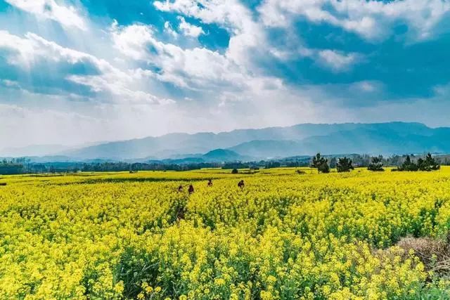 安之若宿·山，建一小屋與你晨鐘暮鼓