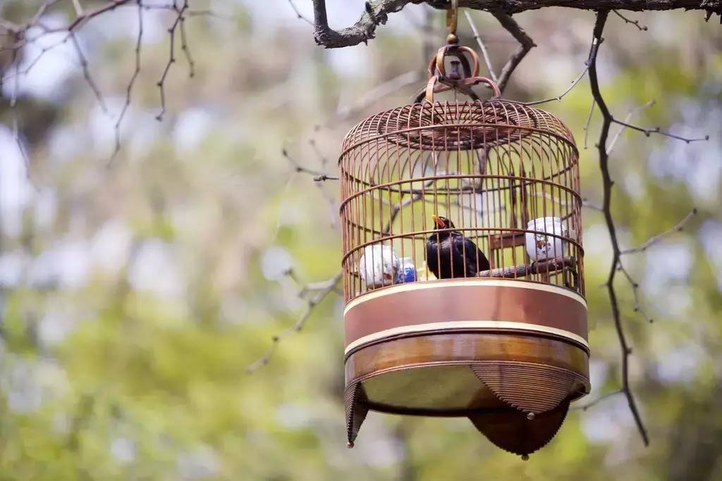 中國(guó)傳統(tǒng)文化有那些？100款中國(guó)傳統(tǒng)文化