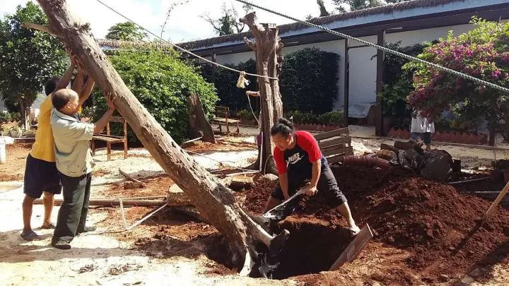 慢點(diǎn)藝術(shù)民宿，世間所有努力都是為了慢點(diǎn)