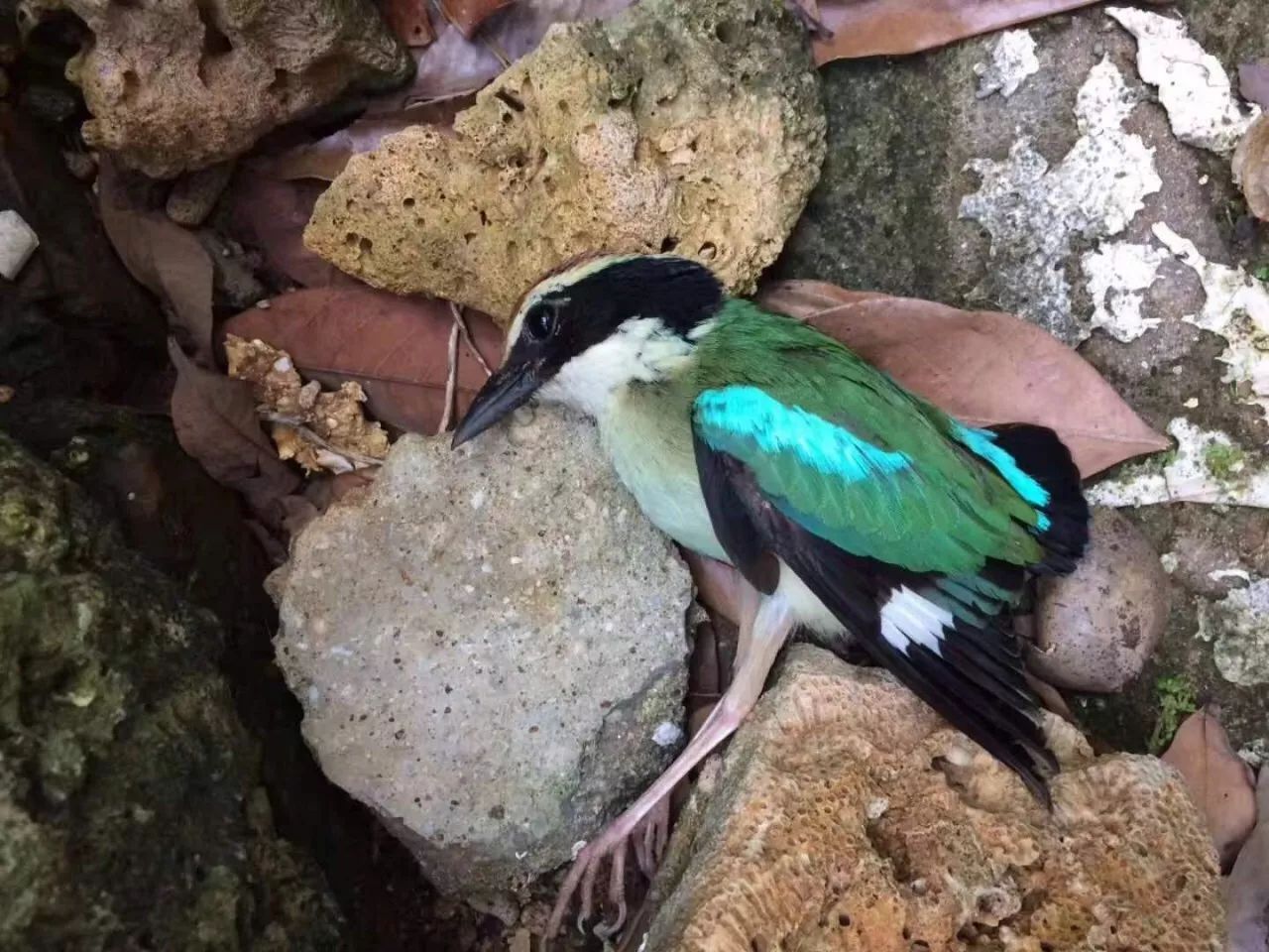 慢點(diǎn)藝術(shù)民宿，世間所有努力都是為了慢點(diǎn)